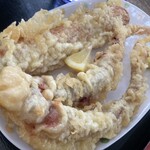 根ッ子うどん - 