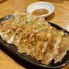 Gyoza Hohei Ginza Ten - 手前が生姜ぎょうざ、奥がぎょうざ（にら・にんにく）