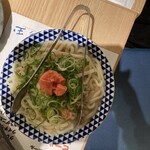 鮨・酒・肴 杉玉 十三 - 