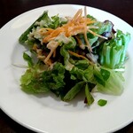 カモメ - ランチ　サラダ