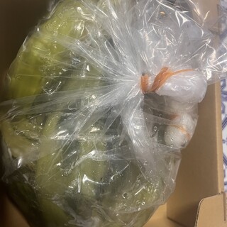 さとみの漬物講座・山二醤油醸造_1