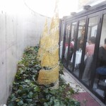 マッシモ・マリアーニ - 