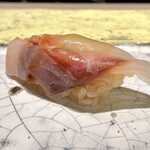 島津 - シブダイ