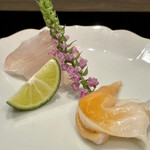 島津 - お造り　
      └真鯛　石垣貝