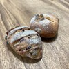 FRIANDISE - パンオクランベリー＆蜜りんごさつま芋の天然酵母