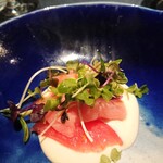 セルサルサーレ - 