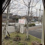 MILK - 
