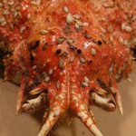 すしの壽々丸 - 