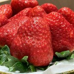 大阪天満宮 鮨とよなが - 