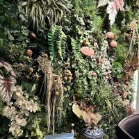 Shangri-La's secret ROPPONGI - きのこがお出迎え♪