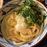 丸亀製麺 - おろしぶっかけ