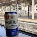 Gurando Kiyosuku Shizuoka - 身延駅も通りました