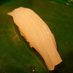 やま下 - アオリイカ