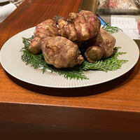 スガラボヴィー - 