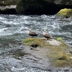 妙見石原荘 食菜石蔵 - 