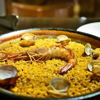 Potoro - 