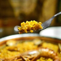 Potoro - 
