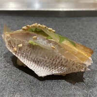 すし京辰 恵比寿店 - 春子鯛