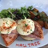 Hau Tree Lanai Restaurant - 