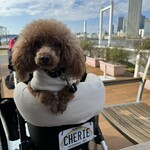 RHC CAFE - シェリ①