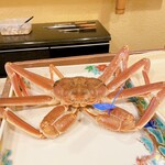 うを徳 - 島根県隠岐産　松葉ガニ