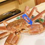 うを徳 - 島根県隠岐産　松葉ガニ