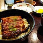 Unagi Arakawa - 