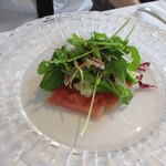 모데스토 - 本鮪ノカルパッチョ　サラダ仕立て