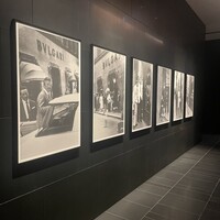 イル・リストランテ ニコ・ロミート -  イル・リストランテ ニコ・ロミート -