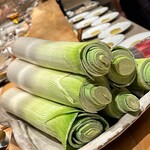 SUGALABO - ポロ葱