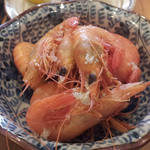 発酵醸造酒場 Ace - カワツエビ