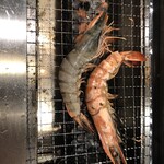 プレミアムカルビ 武蔵浦和店 - 