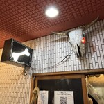 一条流がんこ総本家分家四谷荒木町 - 外観