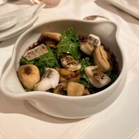 Benoit Alain Ducasse - 