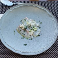 イリエスケープ - 