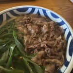 饂飩店よこやま - 肉うどん