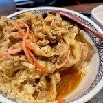 Yoshinoya - 肉だく並盛
                      結構なつゆだく