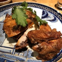 雪梅花 菜根譚 - 