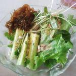 かんてんぱぱショップ - ＜食１＞ぱぱのシーズニングをサラダにかける