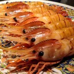 島津 - ボタンエビ