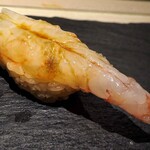 島津 - ボタンエビ