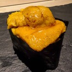 島津 - ムラサキウニ