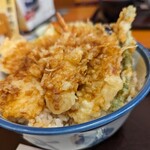 Tendon Tenya - 