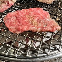 鴨川たかし - 