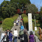 Furenzu - 大興善寺