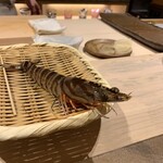 鮨 銀座 おのでら - 車海老