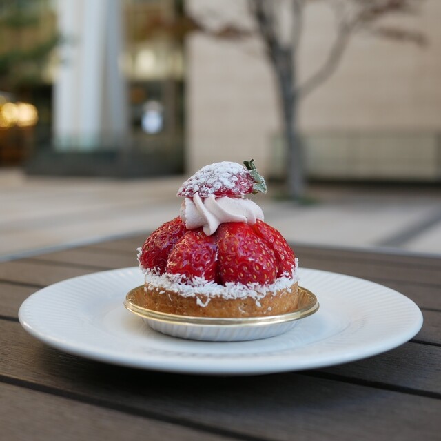 Toshi Yoroizuka Middo Taun photo 3