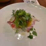 フィオレンティーナ - 