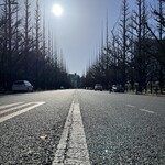 一条流がんこ総本家分家四谷荒木町 - 神宮外苑