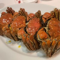 潮夢来 - 